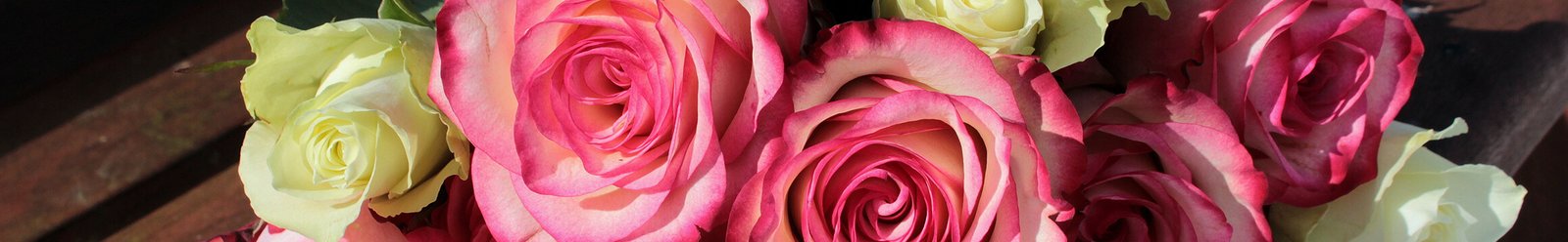 Cecelia Clair Miller Obituary (1942–2026)