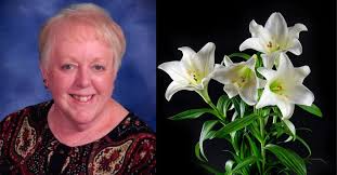 Judy Schweizer