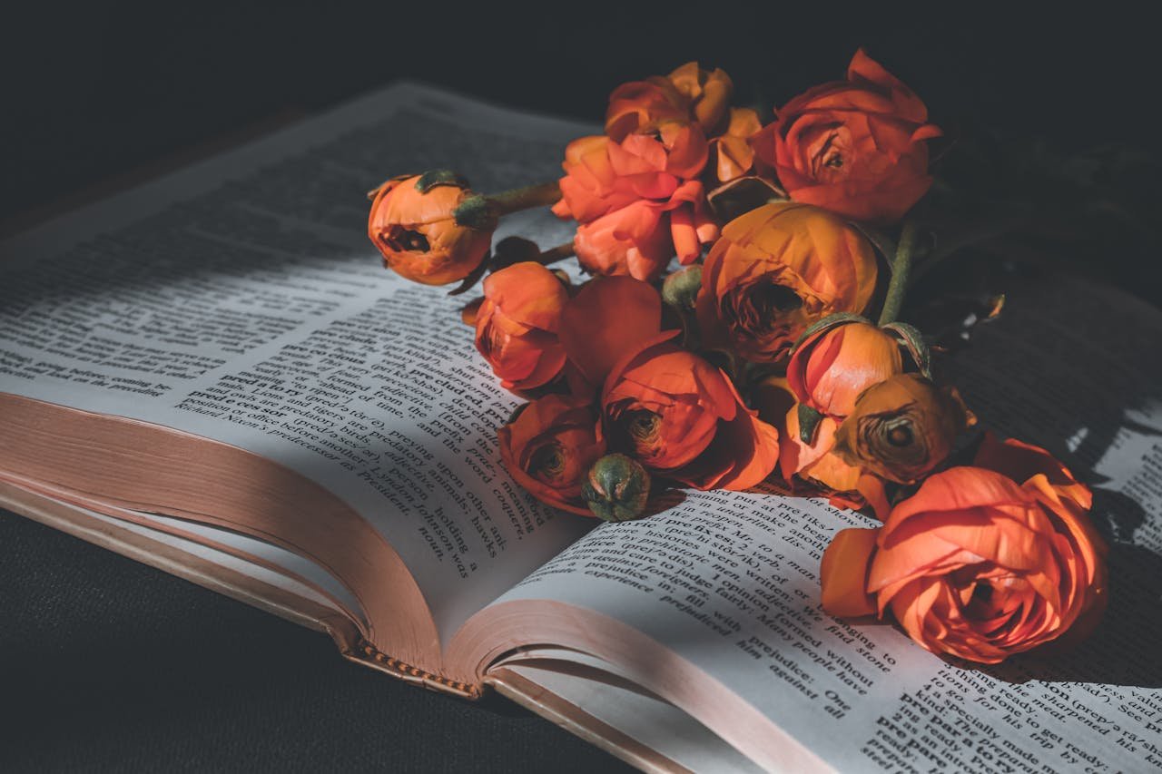 Vibrant orange roses delicately placed on the pages of an open book, capturing elegance and warmth.